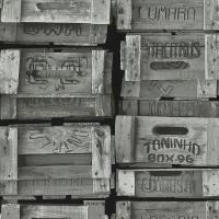 купить P+S International Times 42108-40