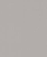 купить Rasch Shiny Chic 798722