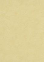 купить Erismann City Colours 9725-23