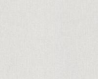 купить A.S.Creation Maistervlies 2020 57111-3