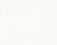 купить A.S.Creation Esprit Kids V 21943-5