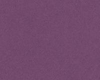 купить A.S.Creation MV meets XXL 715142