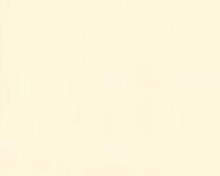 купить A.S.Creation Duetto 854612