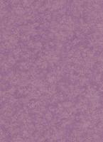 купить Erismann Cassinia 5210-09 купить Erismann Cassinia 5210-09