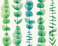 купить A.S.Creation X-Ray 34246-4