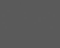 купить A.S.Creation NAF NAF 952231