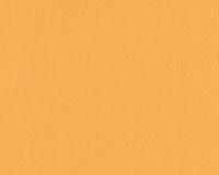 купить A.S.Creation Schoner Wohnen 5 944924