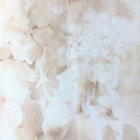 купить P+S International Flower Power 02470-12