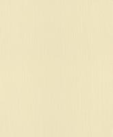 купить Rasch Naturalia 239256