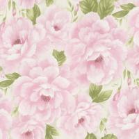 купить Rasch Maximum XII 928501