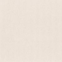 купить P+S International Tresor 42042-50