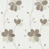 купить P+S International Belcanto 2014 13505-70