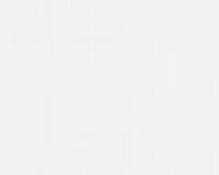 купить A.S.Creation Esprit 7 190116