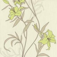 купить P+S International Timeless 2015 13175-20