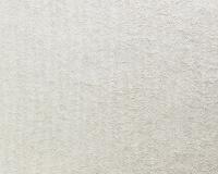 купить A.S.Creation Omnia 180612