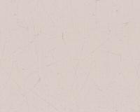 купить A.S.Creation Brigitte 4 944353