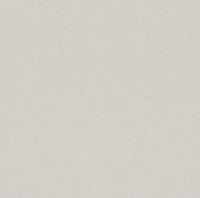 купить Rasch Cosy White 2015 269399