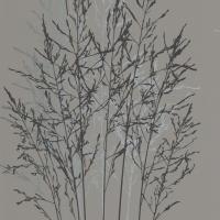 купить Erismann Senses 2013 5722-37