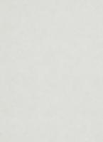 купить Erismann Nordic Summer 1779-31