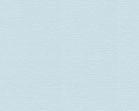 купить A.S.Creation Contzen 4 956572