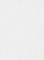 купить Erismann RollOver Deco 3 5326-10