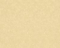 купить A.S.Creation Versace 3 93582-1