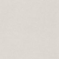 купить Rasch Fiducia 424287