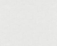 купить A.S.Creation Four Season 35895-2