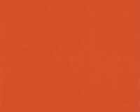 купить A.S.Creation Colour Courage 805737