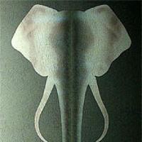 купить Marburg Colani Tsavo 72950