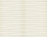 купить A.S.Creation Esprit 8 304636