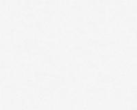 купить A.S.Creation Maistervlies 2020 95313-1