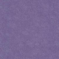 купить P+S International 4ever 02331-60 купить P+S International 4ever 02331-60