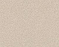 купить A.S.Creation Hermitage 9 943865