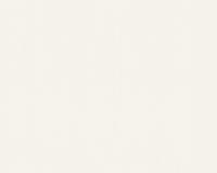 купить A.S.Creation Schöner Wohnen 8 30386-2