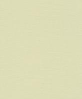 купить Rasch Home Vision VII 741322