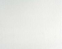 купить A.S.Creation Meistervlies Pro 2 168917