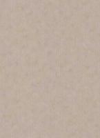 купить Erismann BasiXs 6488-25