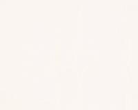 купить A.S.Creation New Look 30640-1