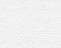 купить A.S.Creation Maistervlies 2020 14121-7