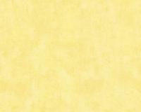 купить A.S.Creation Used Look 224088