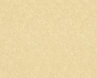 купить A.S.Creation Versace Wallpaper 935821