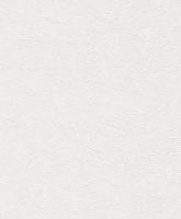 купить Rasch Wallton 2021 143805 (143812)