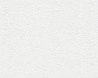 купить A.S.Creation Meistervlies 4 5632-17 / 5735-13