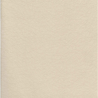 купить A.S.Creation Goldwell 37426-4