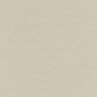 купить P+S International Tresor 42040-20