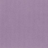 купить P+S International Tresor 42042-70