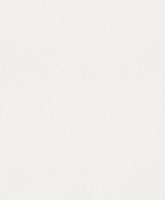 купить Rasch Modern Surfaces 701111