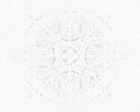 купить A.S.Creation Esprit 6 221322