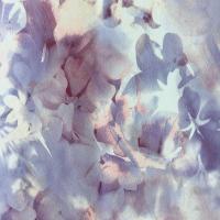 купить P+S International Flower Power 02470-62